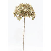 UMĚLÁ KVĚTINA 64 cm - zelená/béžová, Basics, plast (64cm)