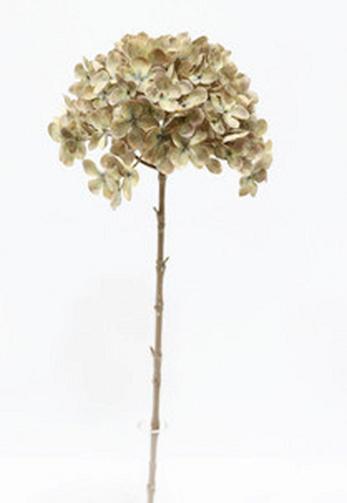 UMĚLÁ KVĚTINA 64 cm - zelená/béžová, Basics, plast (64cm)