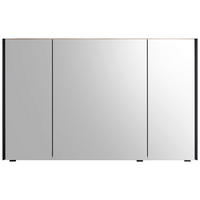 SPIEGELSCHRANK 123,2/70,3/17 cm  - Lavagrau/Schwarz, Design, Glas/Holzwerkstoff (123,2/70,3/17cm) - Sadena