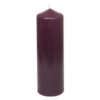 VÁLCOVÁ SVÍČKA - bobulová, Basics (8,7/28cm)