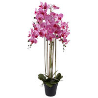 MŰNÖVÉNY - pink/zöld, Basics, műanyag (66/114cm)