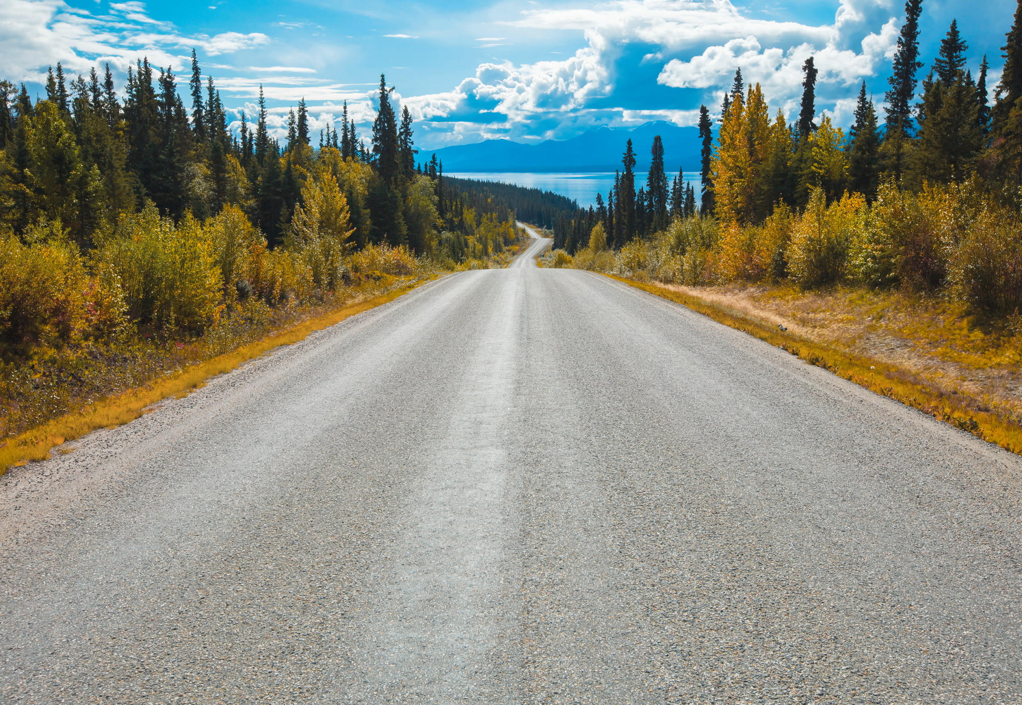 XXXL FOTOTAPETA velikost: 368/254 cm