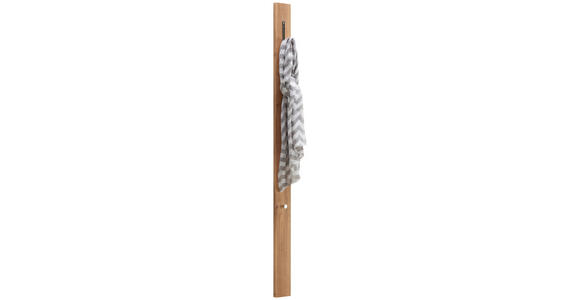 GARDEROBENPANEEL  in 10/165/5 cm  - Eichefarben, Design, Holzwerkstoff/Metall (10/165/5cm) - Moderano