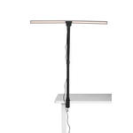 LED-KLEMMLEUCHTE 80/35/71,5 cm   - Schwarz, Basics, Kunststoff/Metall (80/35/71,5cm) - Novel