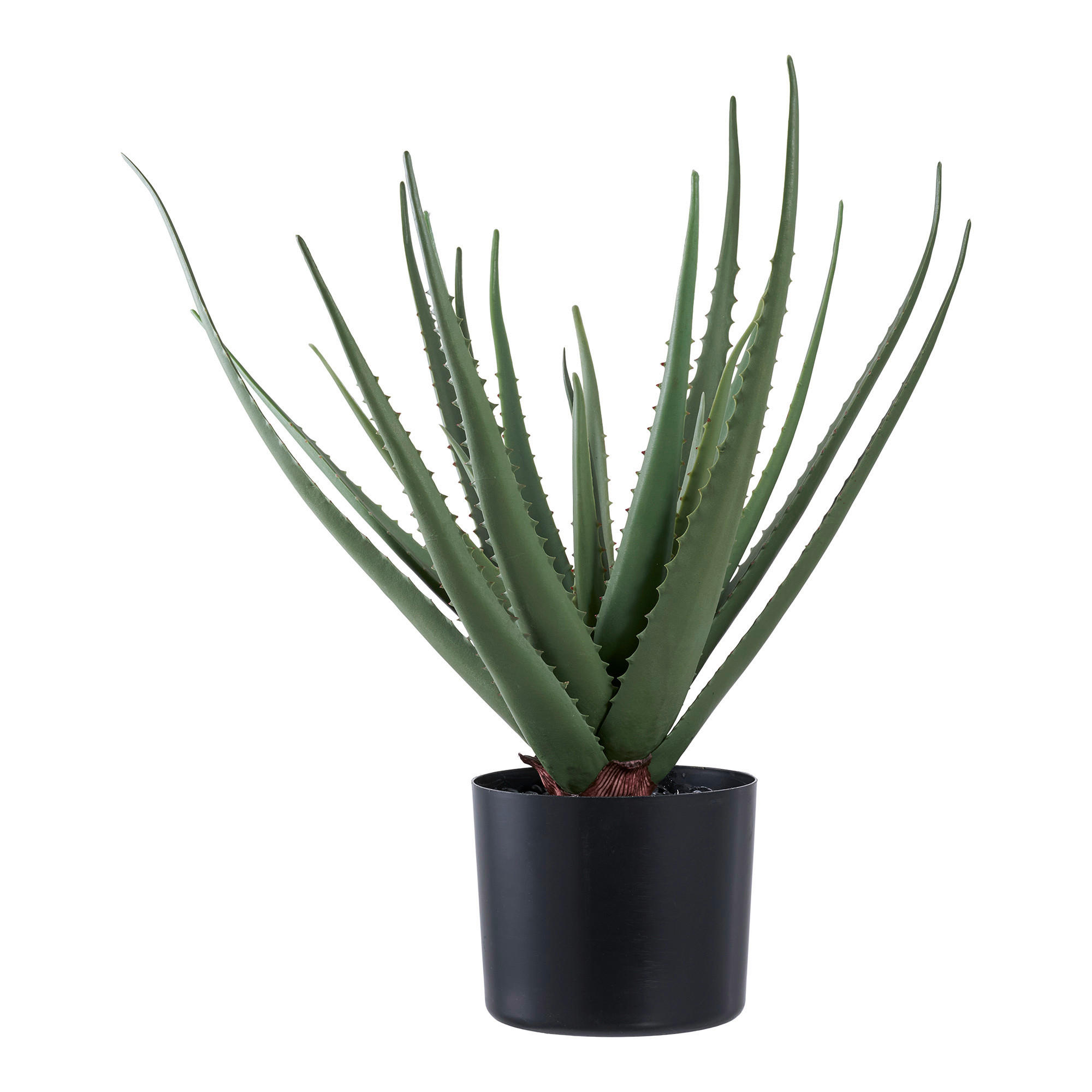 KUNSTPFLANZE Aloe Vera  - Grün, Design (30.5/51/30.5cm)