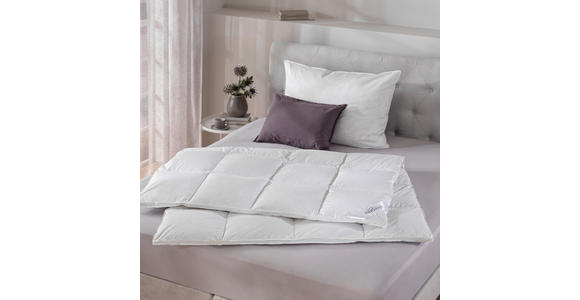 WINTERDECKE 140/200 cm - Weiß, Basics, Textil (140/200cm) - Sleeptex