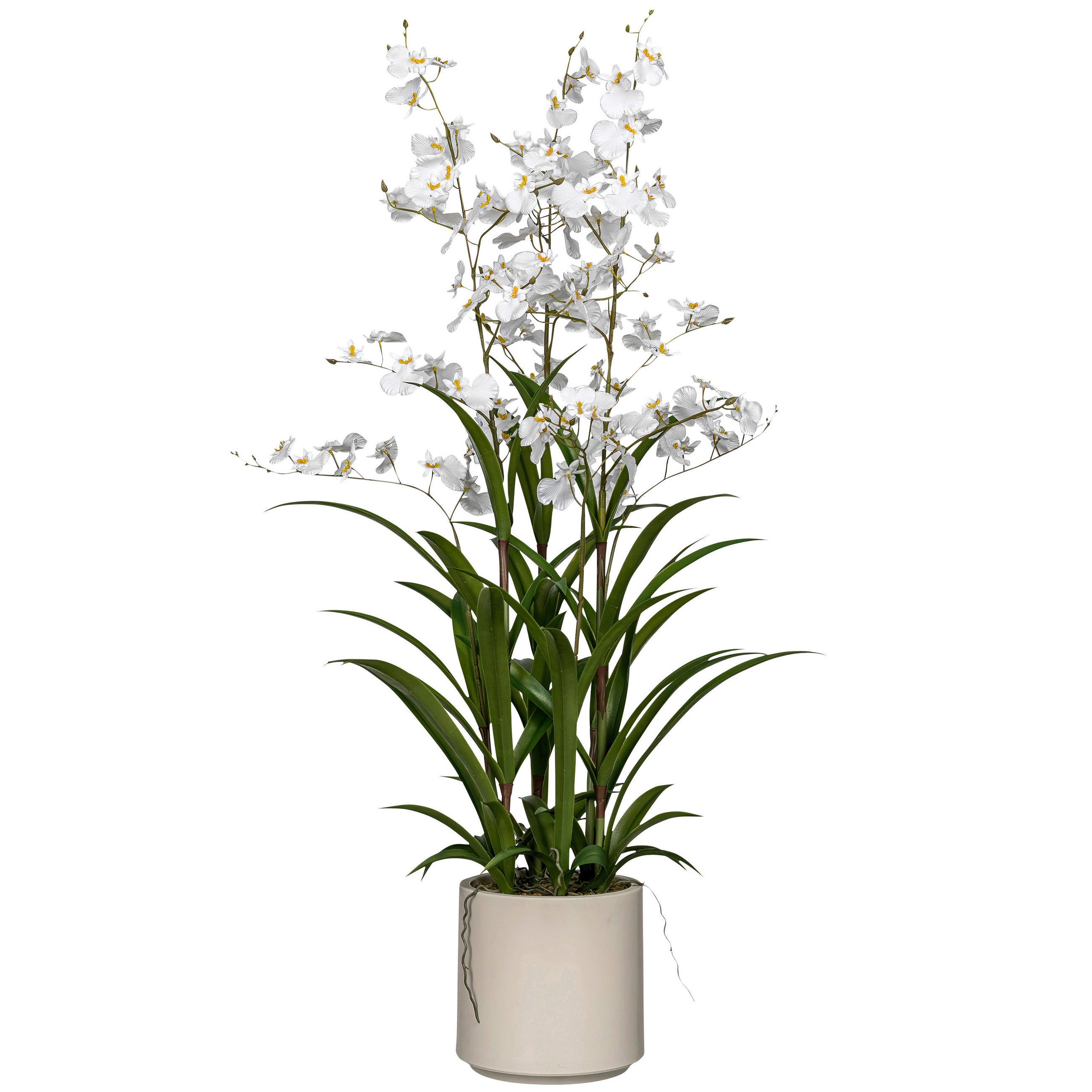 KUNSTPFLANZE Orchidee  - Weiß/Grün, Basics, Kunststoff (20/100/20cm)