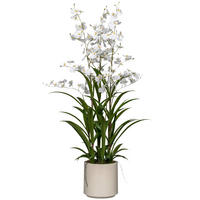 KUNSTPFLANZE Orchidee  - Weiß/Grün, Basics, Kunststoff (20/100/20cm)