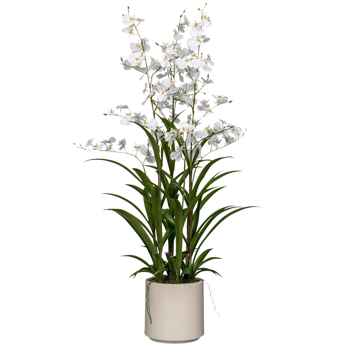 KUNSTPFLANZE Orchidee  - Weiß/Grün, Basics, Kunststoff (20/100/20cm)