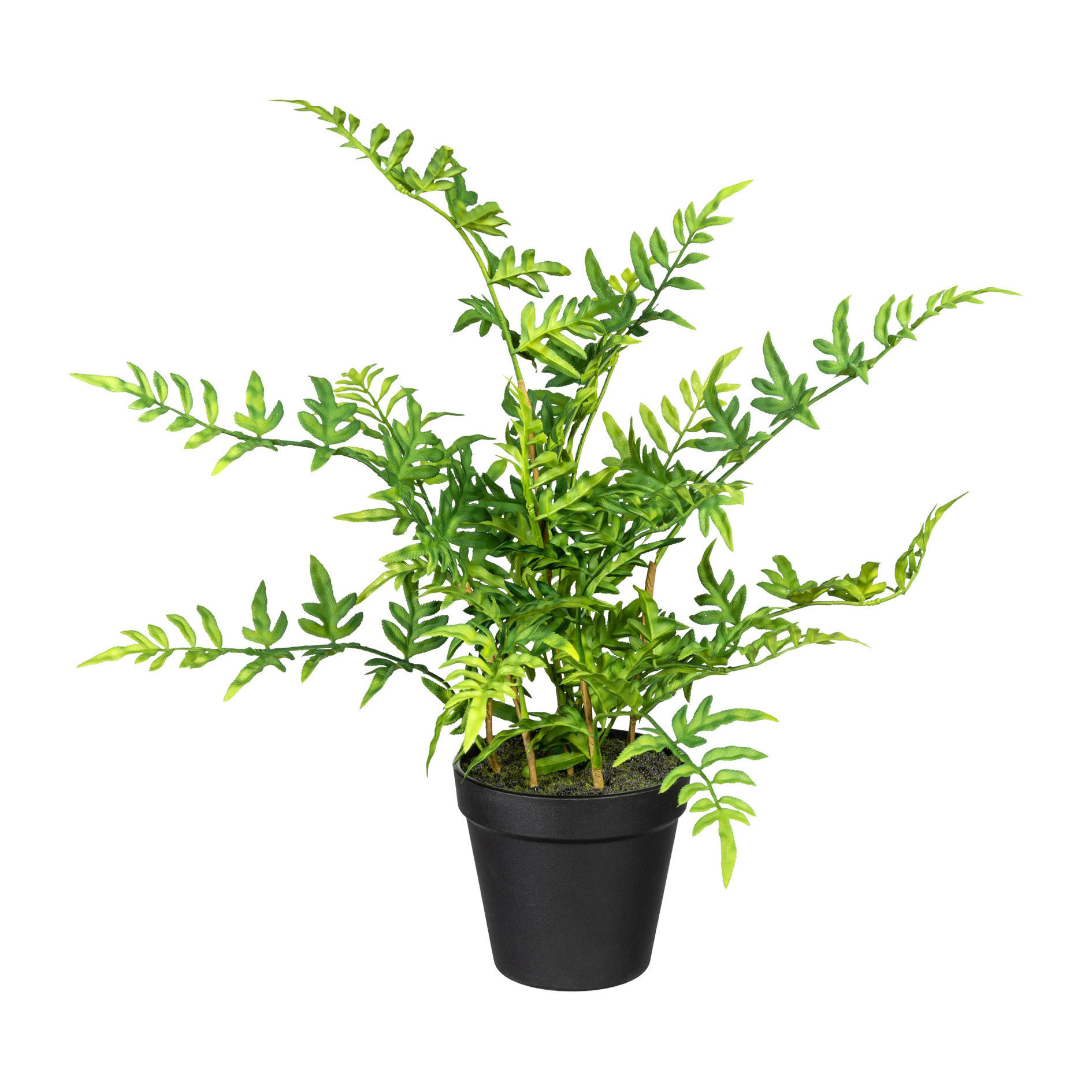 KUNSTPFLANZE Farn 40 cm  - Schwarz/Braun, Design, Kunststoff (40cm) - P & B
