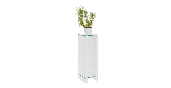 BLUMENTISCH Glas, Holzwerkstoff  - Klar/Weiß, Design, Glas/Holzwerkstoff (25/25/80cm) - Carryhome