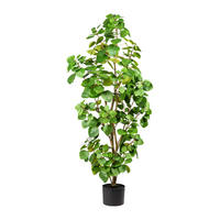 KUNSTPFLANZE Eukalyptus 120 cm  - Schwarz/Braun, Design, Kunststoff (120cm) - P & B