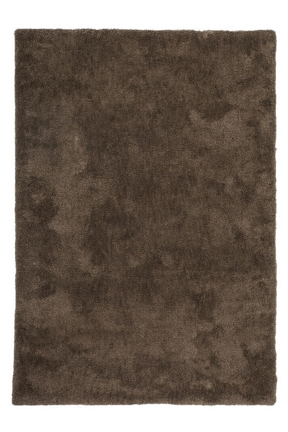TEPIH VISOKOG FLORA 120/170 cm   taupe  Velvet  - taupe, Basics, tekstil (120/170cm)
