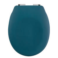 WC-SITZ - Petrol, Basics, Kunststoff (45.5/37/5.5cm) - Spirella