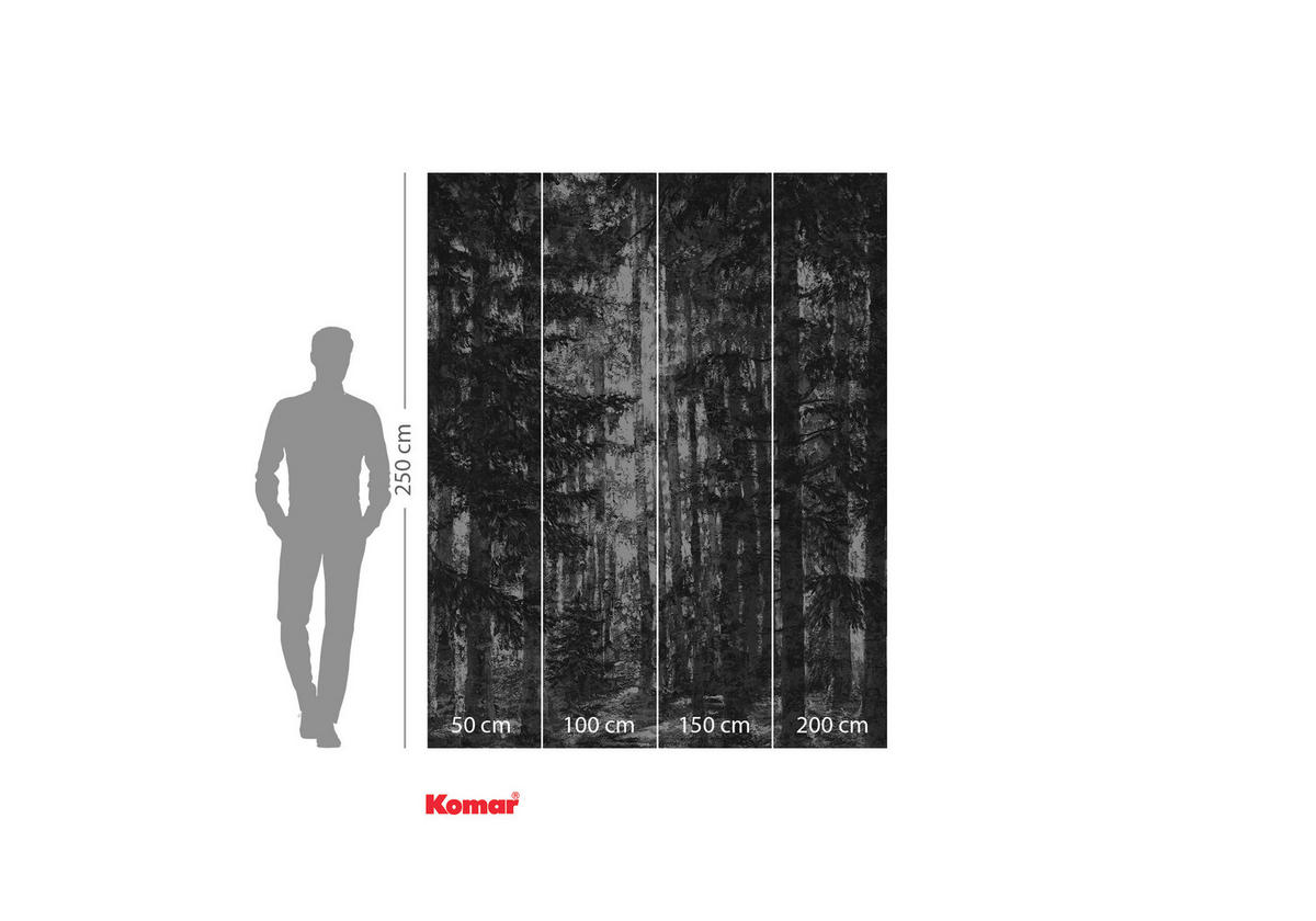VLIESTAPETE - Schwarz/Weiß, Basics (200/250cm) - Komar