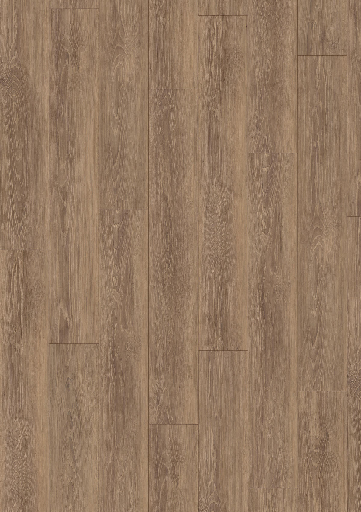 LAMINATBODEN Newport Eiche EGGER Nature Sense  per  m² - Eichefarben/Braun, KONVENTIONELL, Holzwerkstoff (129.2/19.3/0.8cm) - Egger Holzwerkstoffe