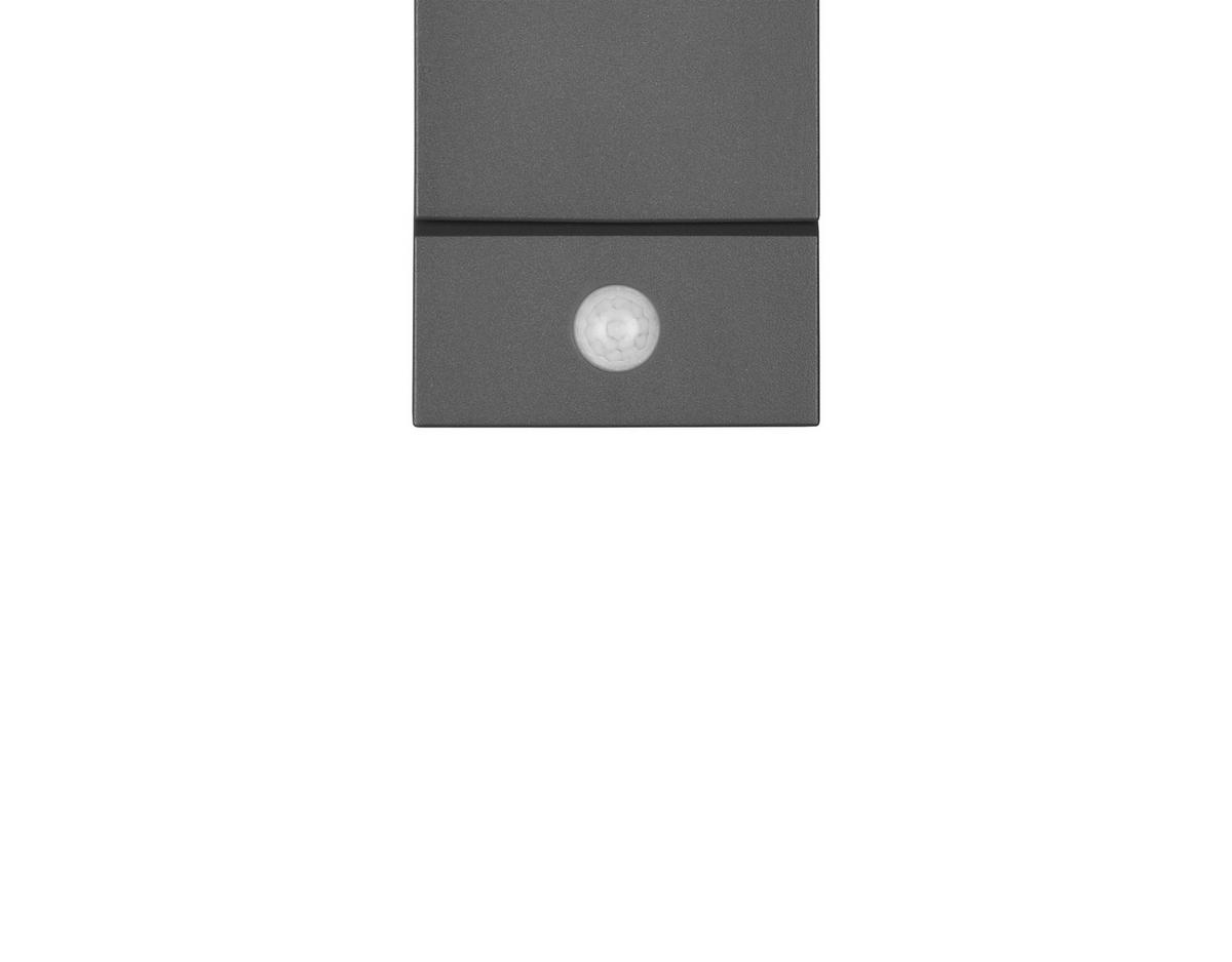 VÄGGLAMPA FÖR UTOMHUS - antracit, Basics, metall/plast (11/9/16cm) - Trio Leuchten