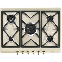 GÁZFŐZŐLAP - (68,5/3,2/50cm)