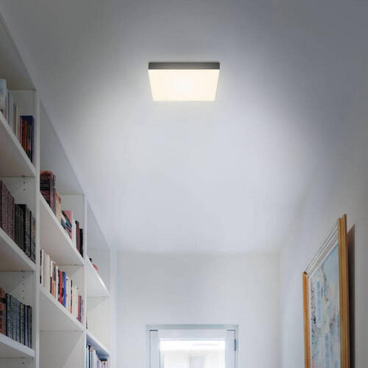 STROPNÍ LED SVÍTIDLO, 21,2/21,2/3,6 cm - černá, Basics, plast (21,2/21,2/3,6cm)