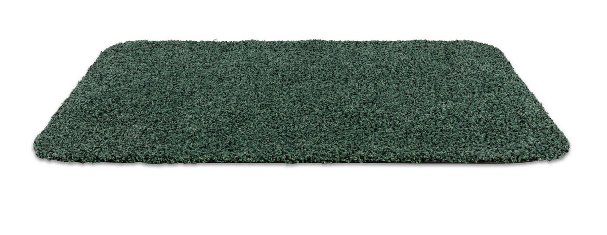 FUSSMATTE  60/75 cm  Grün  Struktur  - Grün, KONVENTIONELL, Kunststoff/Textil (60/75cm) - Astra