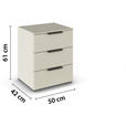 NACHTSCHRANK 50/61/42 cm  - Champagner/Silberfarben, Trend, Holzwerkstoff/Metall (50/61/42cm) - Novel