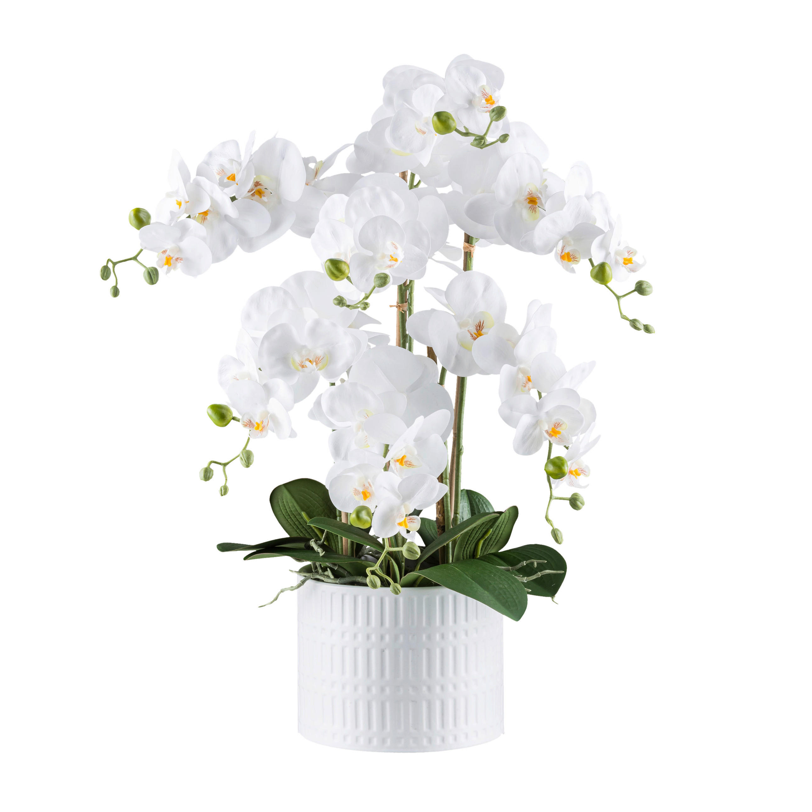KUNSTPFLANZE Orchidee 60 cm  - Weiß/Grün, Design, Keramik/Kunststoff (60cm) - P & B
