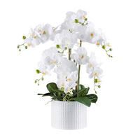 KUNSTPFLANZE Orchidee 60 cm  - Weiß/Grün, Design, Keramik/Kunststoff (60cm) - P & B