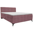 BOXBETT 180/200 cm  in Beere  - Beere/Schwarz, Design, Holz/Holzwerkstoff (180/200cm) - Xora