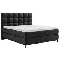 BOXSPRINGBETT 160/200 cm,  in Schwarz, gepolstertes Kopfteil, Topper, Matratzen, H2 + H3 = mittel + fest  - Schwarz, Trend, Textil/Metall (160/200cm) - Esposa