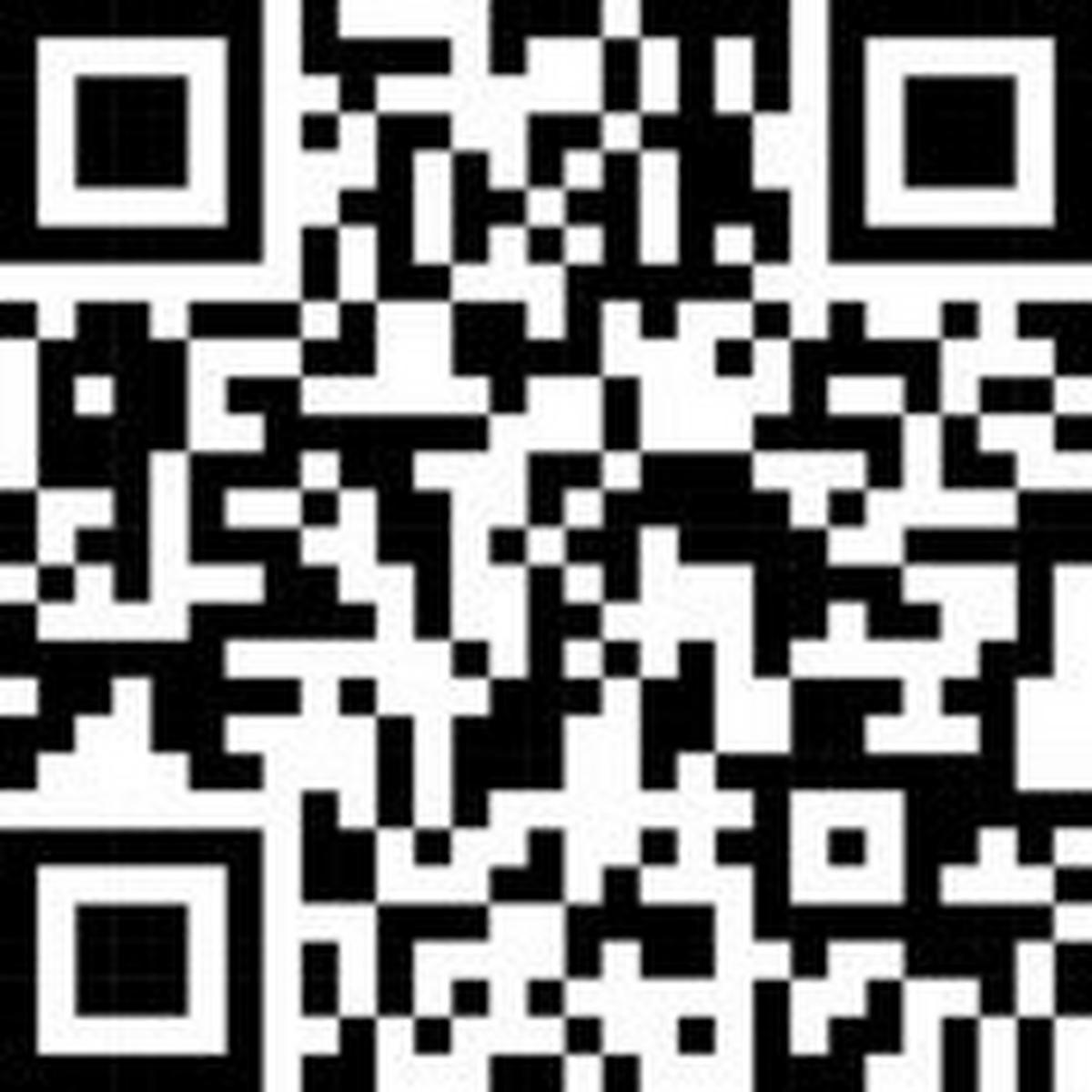 DUSCHKOPF   - Silberfarben/Weiß, Basics, Kunststoff (13cm) - Wenko