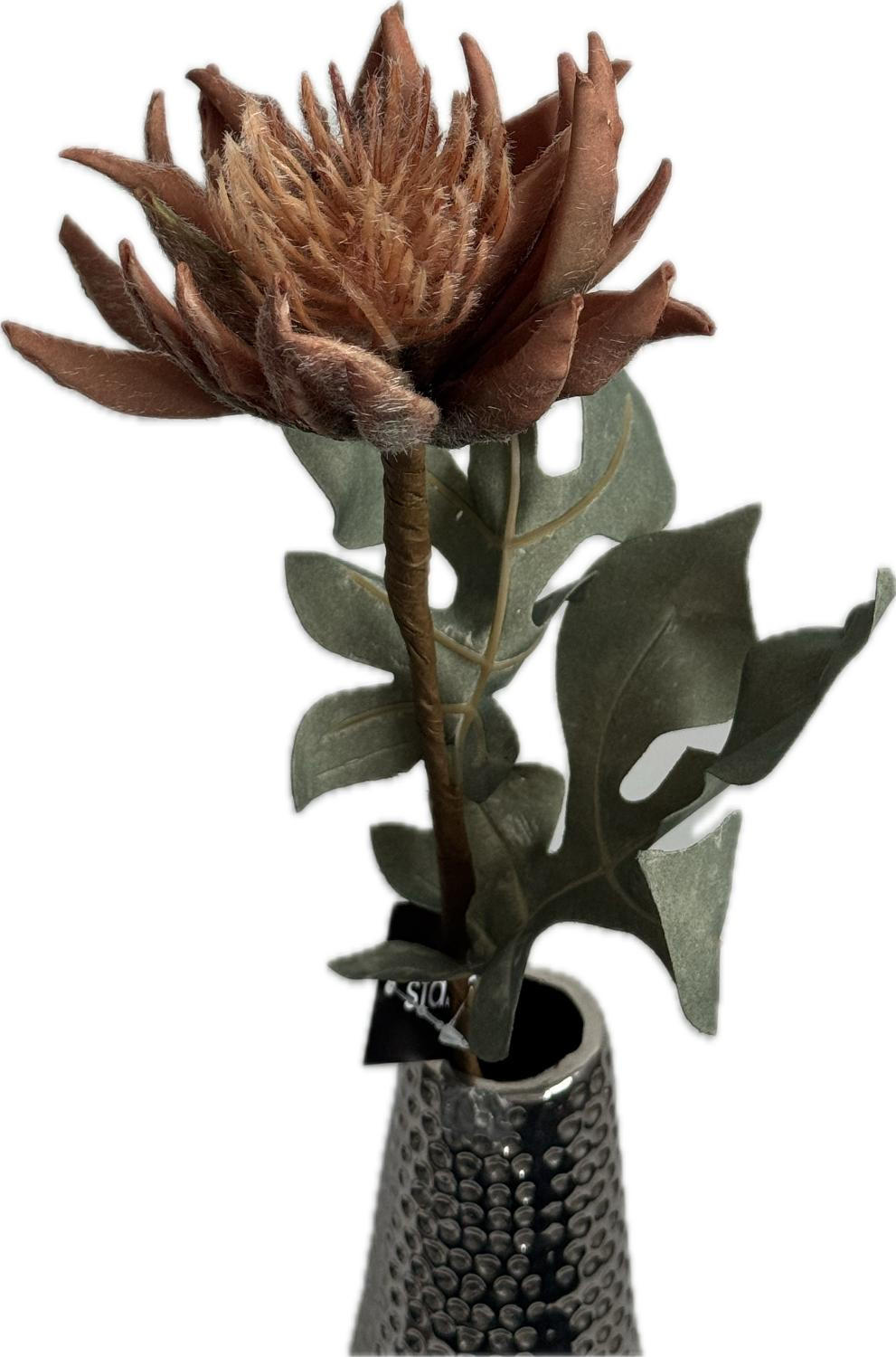 DEKORAČNÁ KYTICA 65 cm - Natur (65cm)