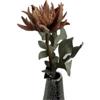 DEKORAČNÁ KYTICA 65 cm - Natur (65cm)