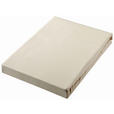 SPANNLEINTUCH 180-200/200 cm Jersey  - Beige, Basics, Textil (180-200/200cm) - Novel