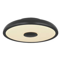 Plafonieră Cu Led 18 W  28/5,5 cm    - opal/negru, Design, plastic (28/5,5cm)