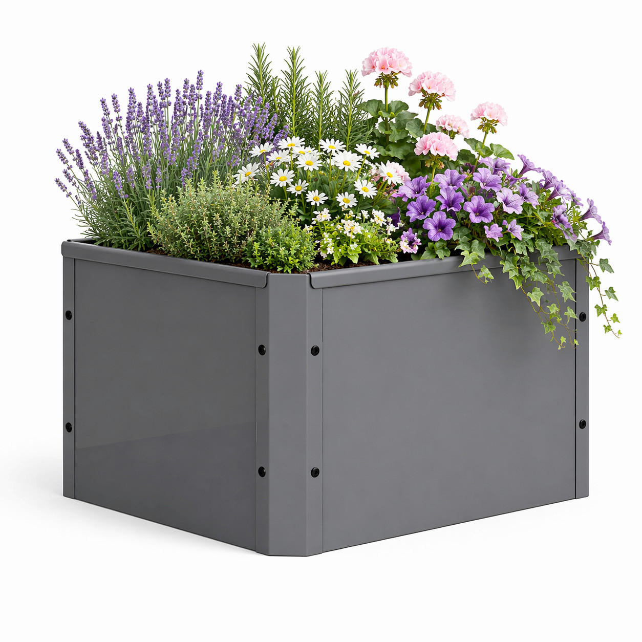 HOCHBEET - Schwarz, Modern, Metall (50/30/40cm)