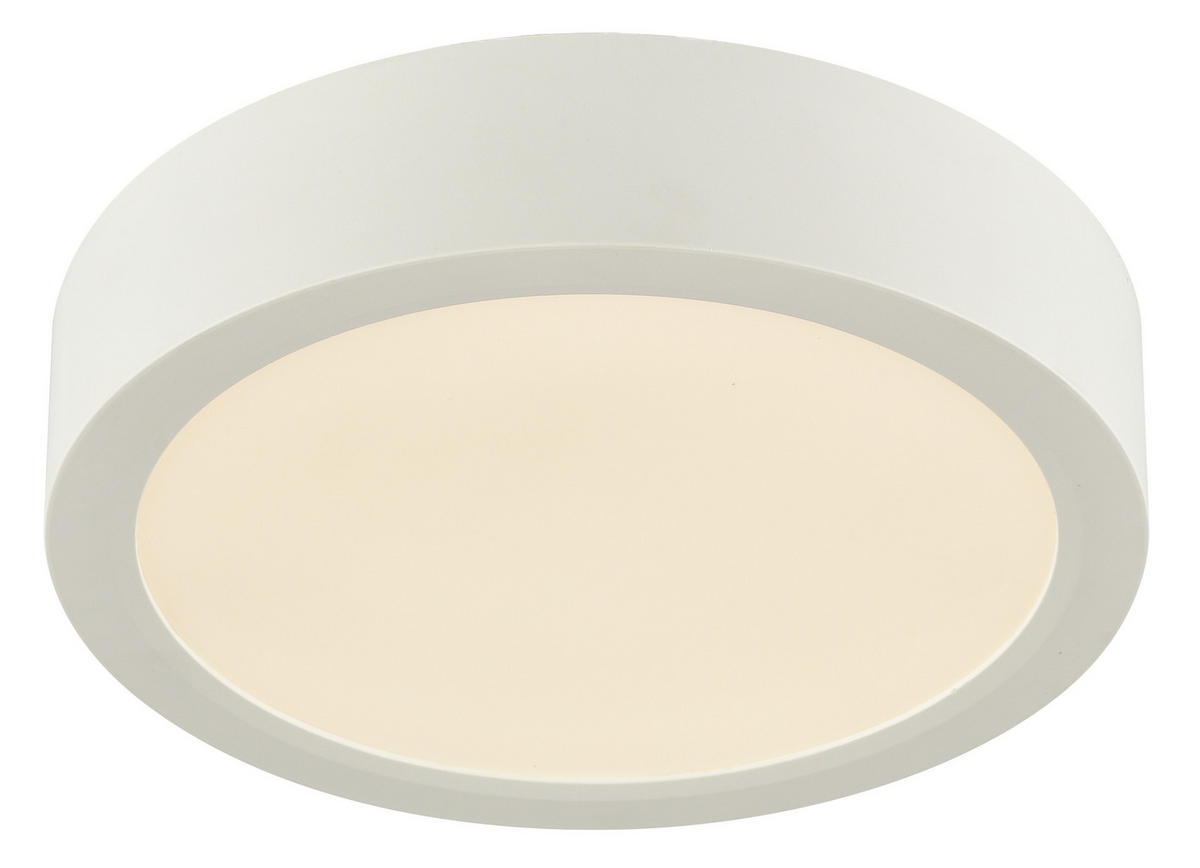 STROPNÍ LED SVÍTIDLO, 17/3,6 cm  - bílá, Konvenční, plast (17/3,6cm) - Boxxx