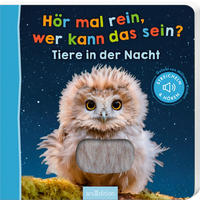 BUCH - Multicolor, Basics, Papier (19,5/19,5/1,9cm)