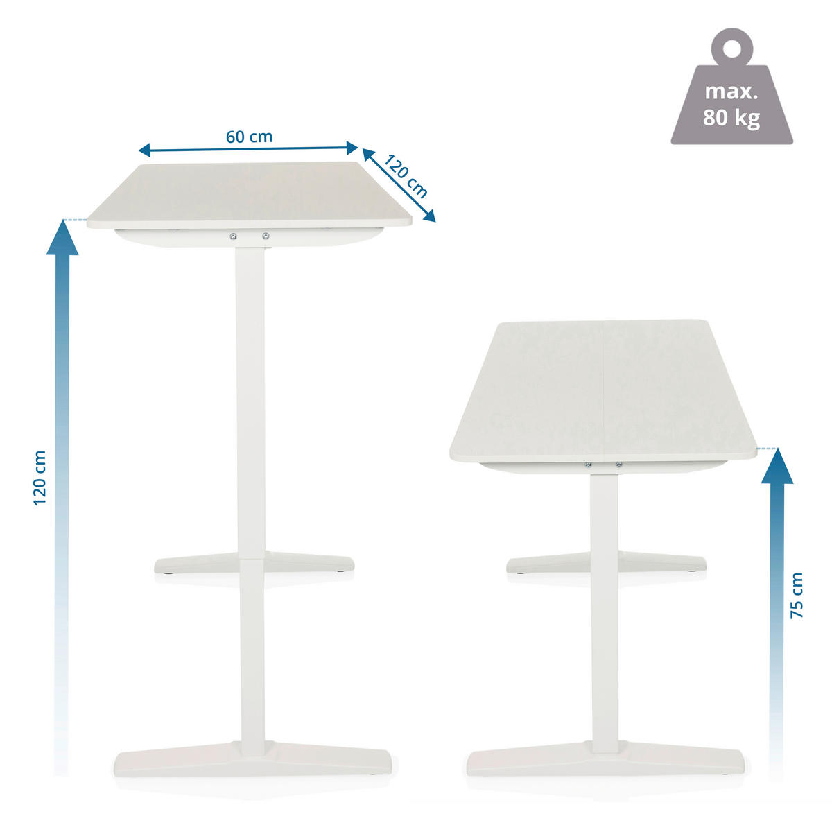 SCHREIBTISCH höhenverstellbar  - Weiß, MODERN, Holzwerkstoff (120/60/75 - 120cm) - MID.YOU