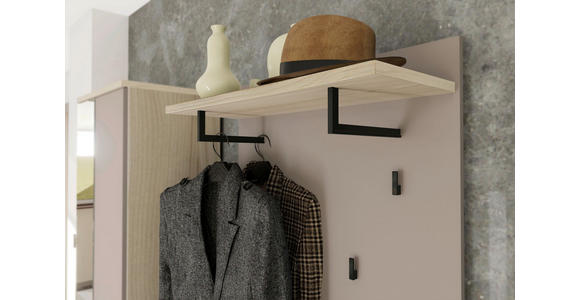 GARDEROBENPANEEL  in 80/100/30 cm  - Taupe/Eichefarben, Design, Holzwerkstoff/Metall (80/100/30cm) - Voleo