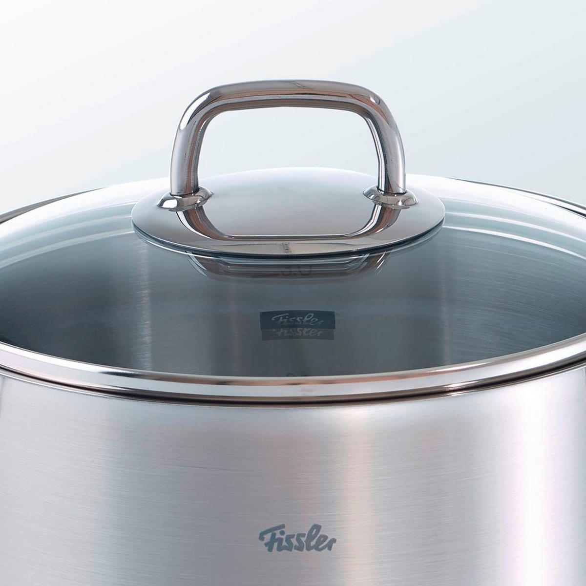 LONEC  Viseo®  3,6 l  kovina   - srebrne barve, Basics, kovina/steklo (20/13cm) - Fissler