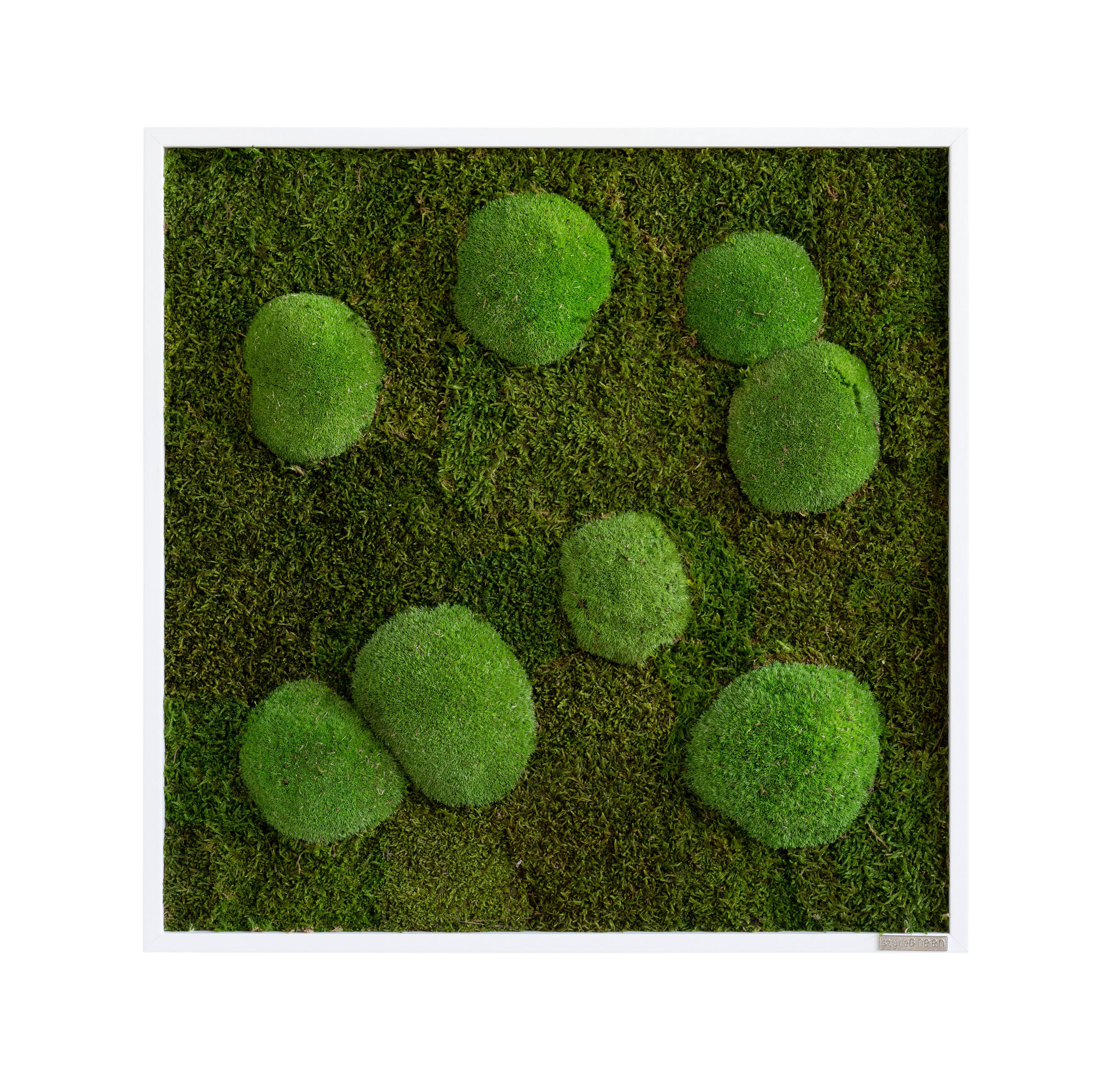 MOSSBILD Stylegreen  - vit/grön, Basics, trä/naturmaterial (55/55/7cm)