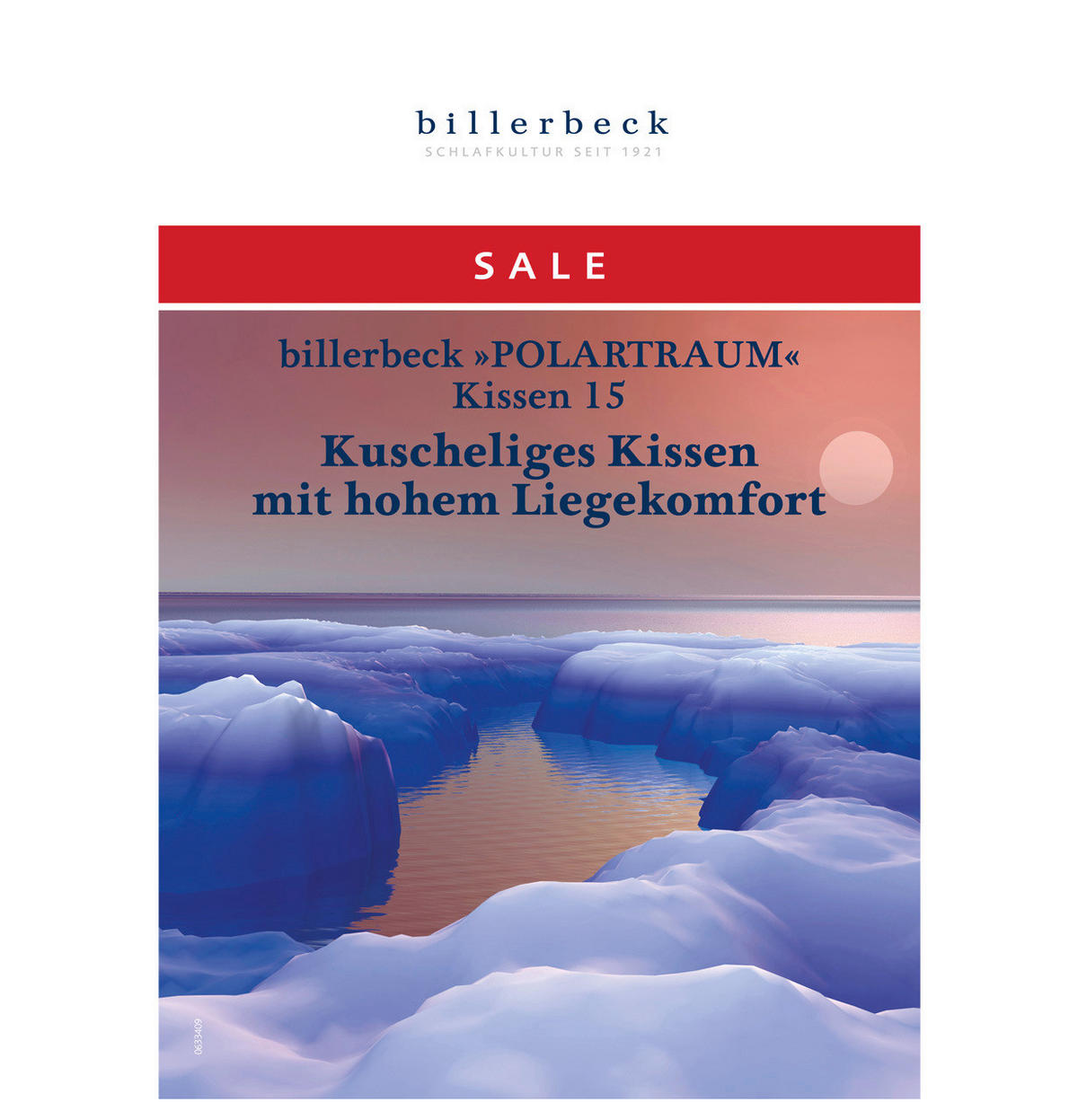 KOPFKISSEN POLARTRAUM 15   80/80 cm       - Weiß, KONVENTIONELL, Textil (80/80cm) - Billerbeck