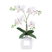 KUNSTPFLANZE Orchidee 42 cm  - Rot/Weiß, Design, Keramik/Kunststoff (42cm) - P & B