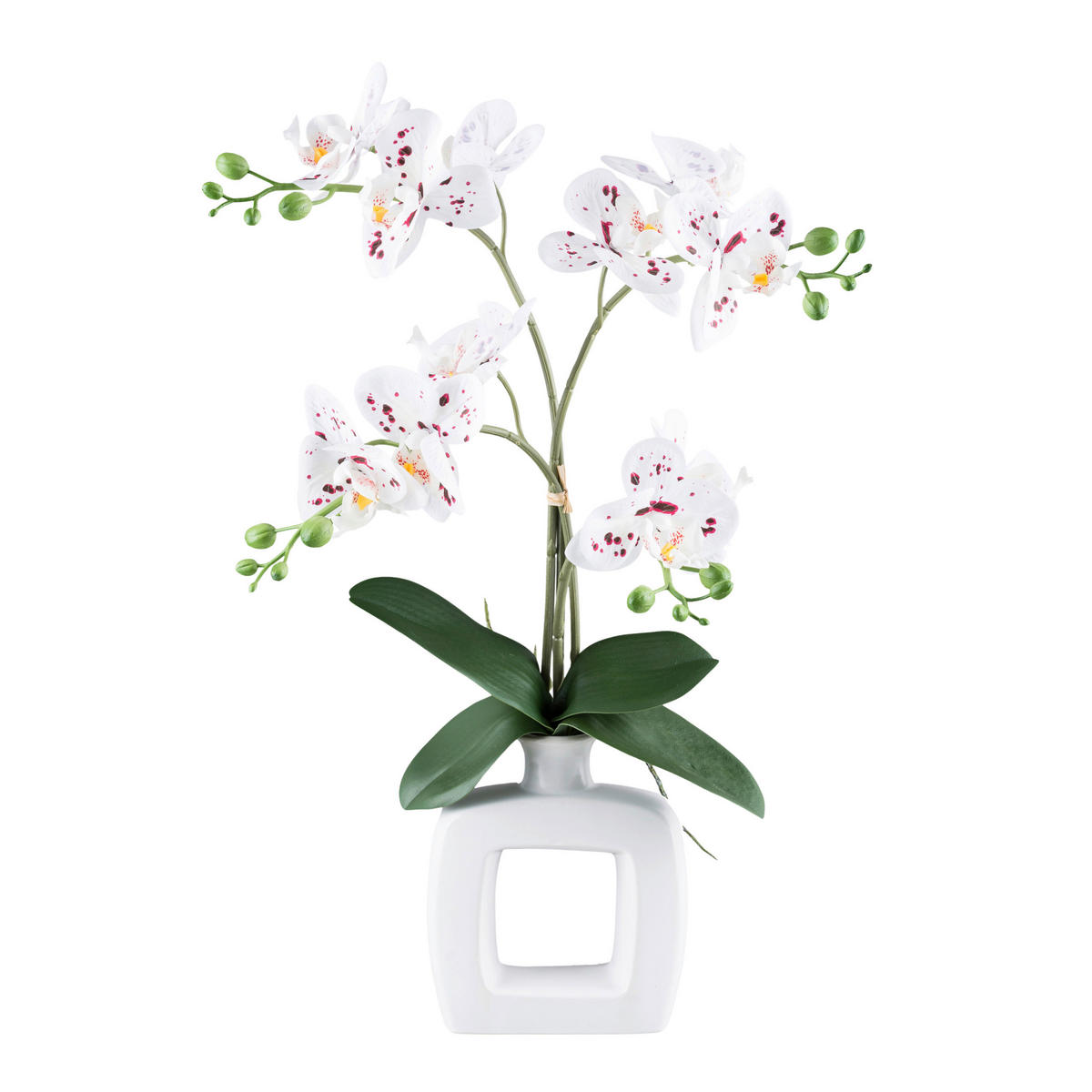 KUNSTPFLANZE Orchidee 42 cm  - Rot/Weiß, Design, Keramik/Kunststoff (42cm) - P & B