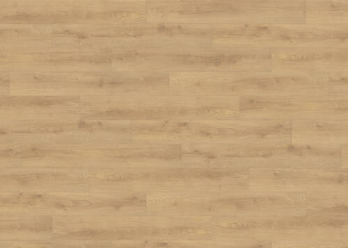 LAMINATBODEN Living by HARO Laminat Sonderedition NKL 31  per  m² - Eichefarben, Basics, Holzwerkstoff (19.3/128.2cm) - Living by HARO