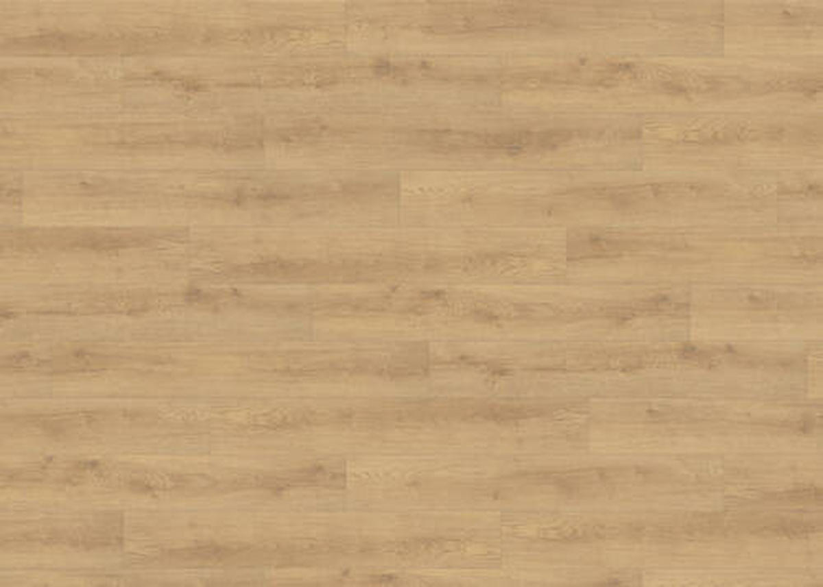 LAMINATBODEN Living by HARO Laminat Sonderedition NKL 31  per  m² - Eichefarben, Basics, Holzwerkstoff (19.3/128.2cm) - Living by HARO