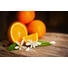 DIFFUSER Orange, Blutorange - Naturfarben, Basics (6/24cm) - Ambia Home DIFFUSER Orange, Blutorange - Naturfarben, Basics (6/24cm) - Ambia Home