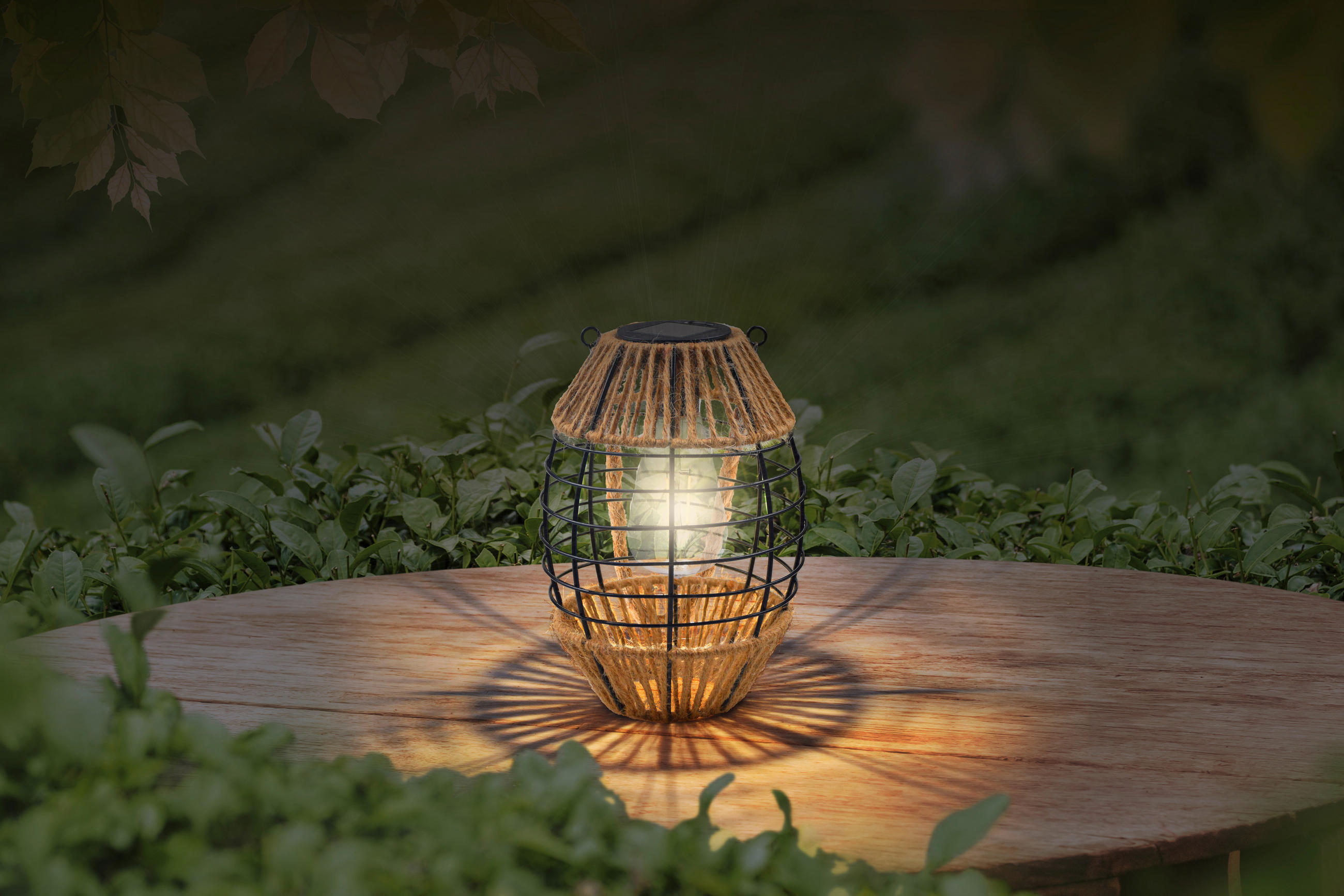 SOLARLEUCHTE 16,5/40,5 cm   - Klar/Schwarz, Natur, Naturmaterialien/Kunststoff (16,5/40,5cm) - Globo