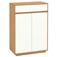 GARDEROBE 5-teilig  in 165/195/40 cm  - Hellbraun/Eichefarben, Basics, Glas/Holz (165/195/40cm) - Novel