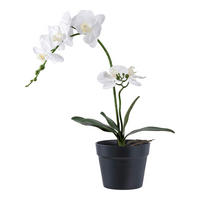 KONSTVÄXT orkidé  - vit, Design (21/47/34cm)